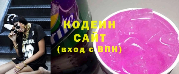 амф Гусев