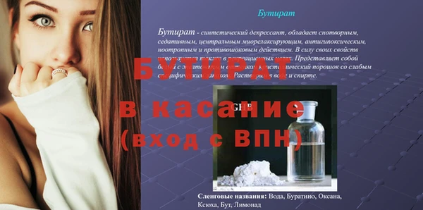 амф Гусев