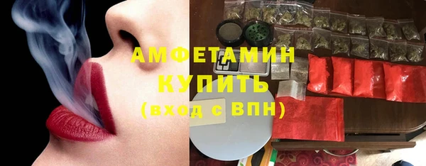 амф Гусев