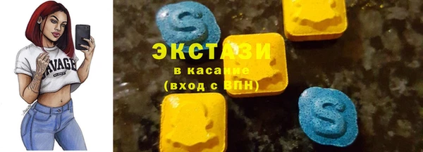 амф Гусев
