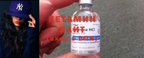 амф Гусев