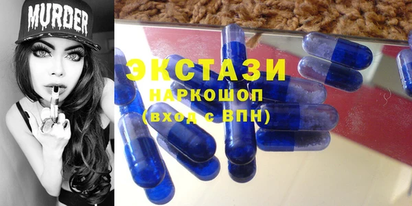 амф Гусев