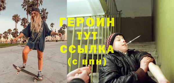 амф Гусев