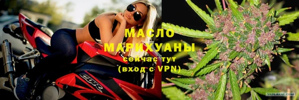 амф Гусев