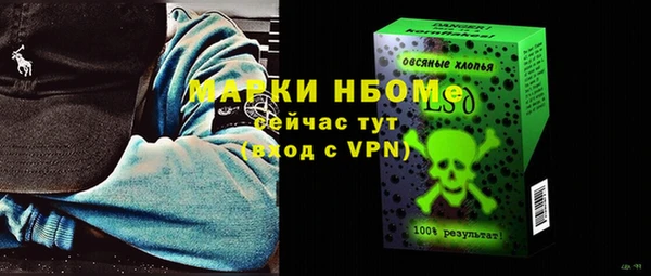 амф Гусев