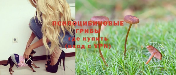 молекула духа Гусь-Хрустальный