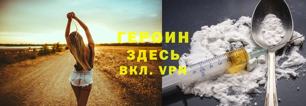 амф Гусев