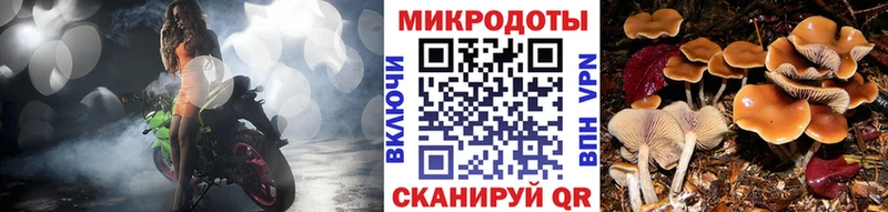 Купить  Колпашево  Галлюциногенные грибы мицелий 